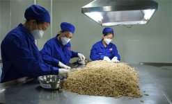 汇仁药业：高品质铸造，中医药产业走向“万亿”时代